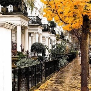 Meet your Posher, Priscila